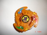 DSC03004.JPG