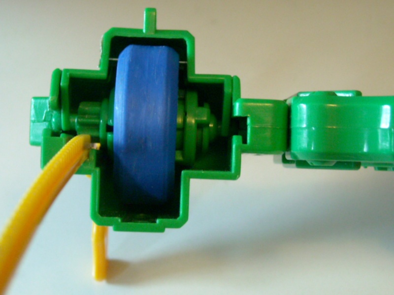File:RoundshellMS 011.jpg